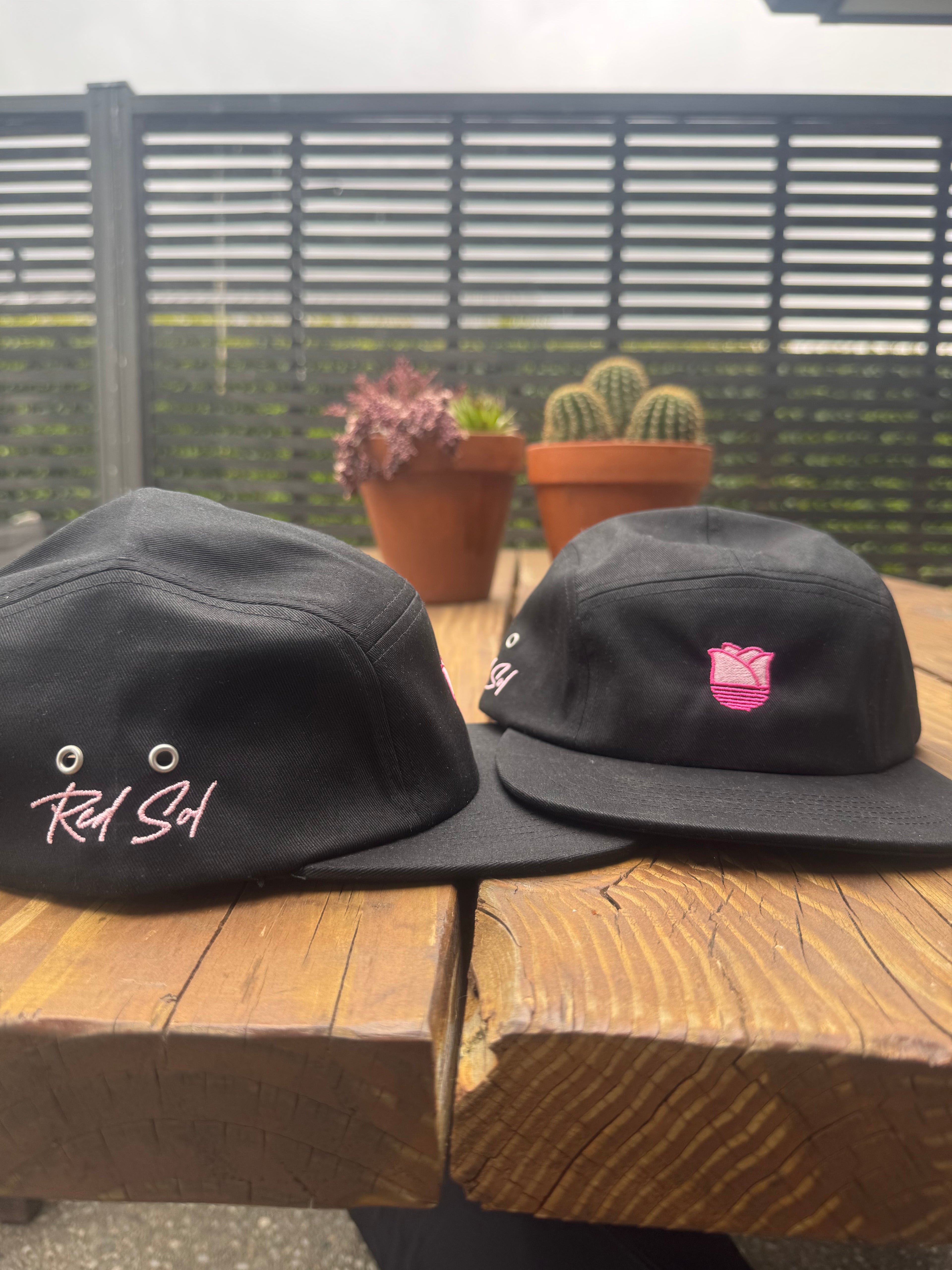 Rosa Sol Pink